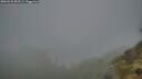 ./images/calvert/foggy-cove/20260522/foggy-cove20260522_052501M.jpg
