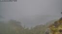 ./images/calvert/foggy-cove/20260522/foggy-cove20260522_053501M.jpg