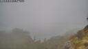 ./images/calvert/foggy-cove/20260522/foggy-cove20260522_060501M.jpg