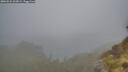 ./images/calvert/foggy-cove/20260522/foggy-cove20260522_062001M.jpg