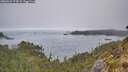 ./images/calvert/foggy-cove/20260522/foggy-cove20260522_073001M.jpg