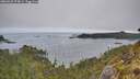 ./images/calvert/foggy-cove/20260522/foggy-cove20260522_074001M.jpg