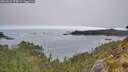 ./images/calvert/foggy-cove/20260522/foggy-cove20260522_075002M.jpg