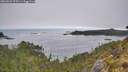 ./images/calvert/foggy-cove/20260522/foggy-cove20260522_075501M.jpg
