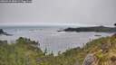 ./images/calvert/foggy-cove/20260522/foggy-cove20260522_080001M.jpg