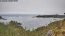 ./images/calvert/foggy-cove/20260522/foggy-cove20260522_080501M.jpg