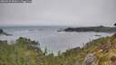 ./images/calvert/foggy-cove/20260522/foggy-cove20260522_081001M.jpg
