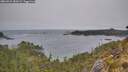 ./images/calvert/foggy-cove/20260522/foggy-cove20260522_082001M.jpg