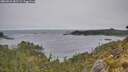 ./images/calvert/foggy-cove/20260522/foggy-cove20260522_082501M.jpg