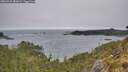 ./images/calvert/foggy-cove/20260522/foggy-cove20260522_083001M.jpg