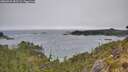 ./images/calvert/foggy-cove/20260522/foggy-cove20260522_083501M.jpg