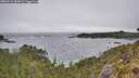 ./images/calvert/foggy-cove/20260522/foggy-cove20260522_084001M.jpg