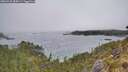 ./images/calvert/foggy-cove/20260522/foggy-cove20260522_084501M.jpg