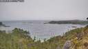 ./images/calvert/foggy-cove/20260522/foggy-cove20260522_085501M.jpg