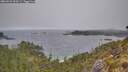 ./images/calvert/foggy-cove/20260522/foggy-cove20260522_090501M.jpg