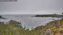 ./images/calvert/foggy-cove/20260522/foggy-cove20260522_091001M.jpg