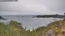 ./images/calvert/foggy-cove/20260522/foggy-cove20260522_091501M.jpg