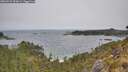 ./images/calvert/foggy-cove/20260522/foggy-cove20260522_093001M.jpg