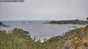 ./images/calvert/foggy-cove/20260522/foggy-cove20260522_093501M.jpg