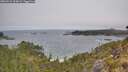 ./images/calvert/foggy-cove/20260522/foggy-cove20260522_094001M.jpg