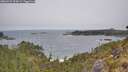 ./images/calvert/foggy-cove/20260522/foggy-cove20260522_094501M.jpg