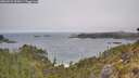 ./images/calvert/foggy-cove/20260522/foggy-cove20260522_095001M.jpg