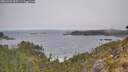 ./images/calvert/foggy-cove/20260522/foggy-cove20260522_095501M.jpg
