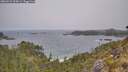 ./images/calvert/foggy-cove/20260522/foggy-cove20260522_100001M.jpg