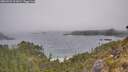 ./images/calvert/foggy-cove/20260522/foggy-cove20260522_101001M.jpg