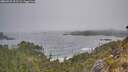 ./images/calvert/foggy-cove/20260522/foggy-cove20260522_101501M.jpg