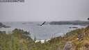 ./images/calvert/foggy-cove/20260522/foggy-cove20260522_102001M.jpg