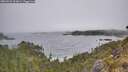 ./images/calvert/foggy-cove/20260522/foggy-cove20260522_103001M.jpg