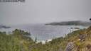 ./images/calvert/foggy-cove/20260522/foggy-cove20260522_103501M.jpg