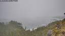 ./images/calvert/foggy-cove/20260522/foggy-cove20260522_104002M.jpg