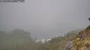 ./images/calvert/foggy-cove/20260522/foggy-cove20260522_104501M.jpg