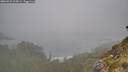 ./images/calvert/foggy-cove/20260522/foggy-cove20260522_105001M.jpg