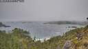 ./images/calvert/foggy-cove/20260522/foggy-cove20260522_105501M.jpg