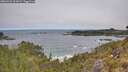 ./images/calvert/foggy-cove/20260522/foggy-cove20260522_112002M.jpg