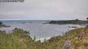 ./images/calvert/foggy-cove/20260522/foggy-cove20260522_112502M.jpg