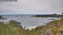 ./images/calvert/foggy-cove/20260522/foggy-cove20260522_113001M.jpg