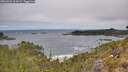 ./images/calvert/foggy-cove/20260522/foggy-cove20260522_114501M.jpg