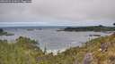 ./images/calvert/foggy-cove/20260522/foggy-cove20260522_115002M.jpg