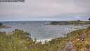 ./images/calvert/foggy-cove/20260522/foggy-cove20260522_122001M.jpg