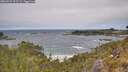 ./images/calvert/foggy-cove/20260522/foggy-cove20260522_122501M.jpg