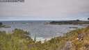 ./images/calvert/foggy-cove/20260522/foggy-cove20260522_123501M.jpg