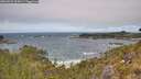 ./images/calvert/foggy-cove/20260522/foggy-cove20260522_125001M.jpg