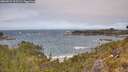 ./images/calvert/foggy-cove/20260522/foggy-cove20260522_125501M.jpg