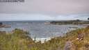 ./images/calvert/foggy-cove/20260522/foggy-cove20260522_131001M.jpg