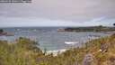 ./images/calvert/foggy-cove/20260522/foggy-cove20260522_132001M.jpg