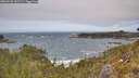 ./images/calvert/foggy-cove/20260522/foggy-cove20260522_132501M.jpg